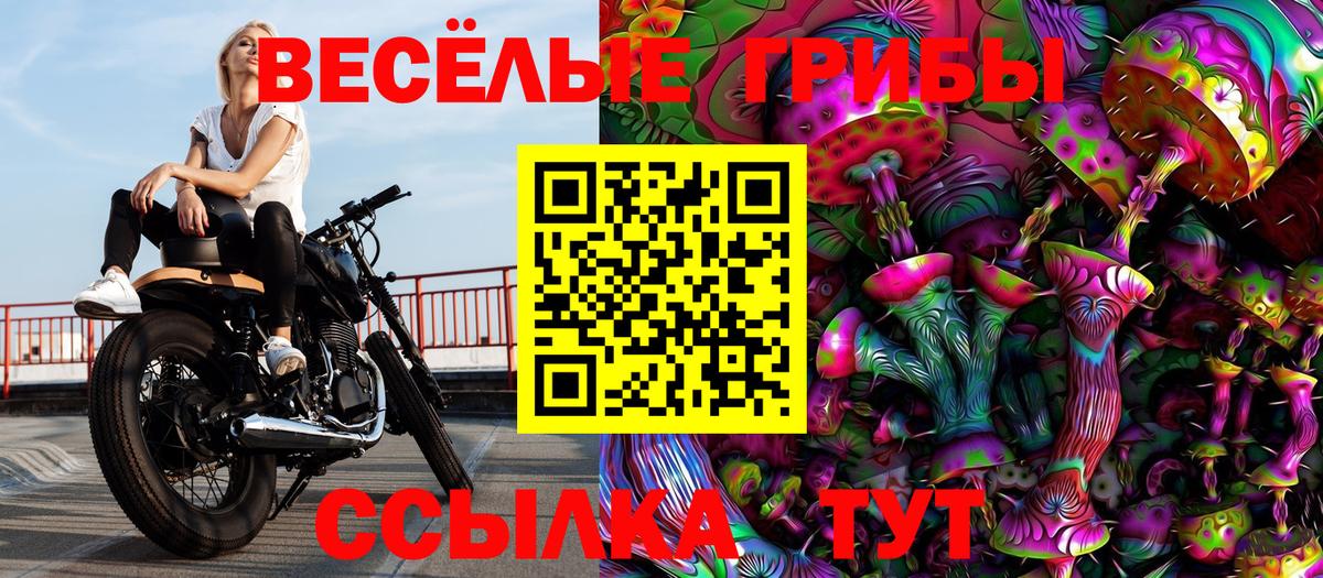 Галлюциногенные грибы мицелий Сегежа